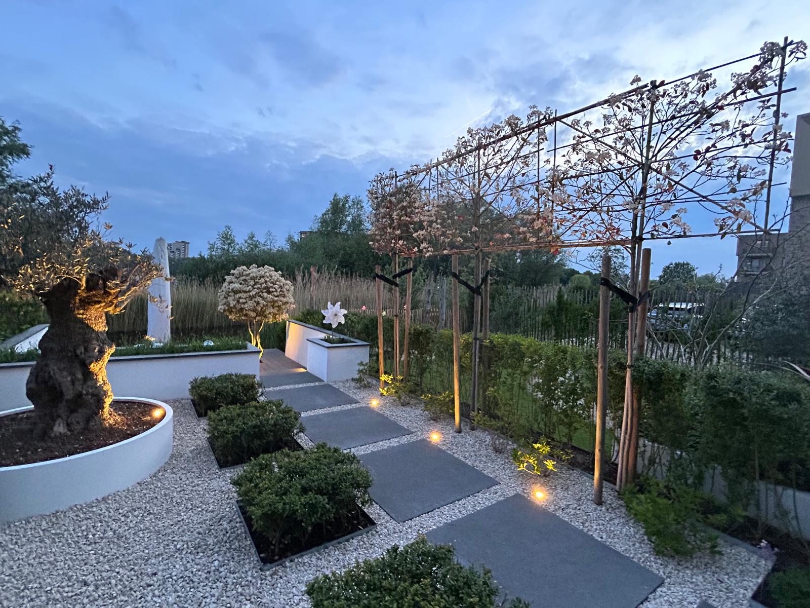 Moderne tuin – Arnhem