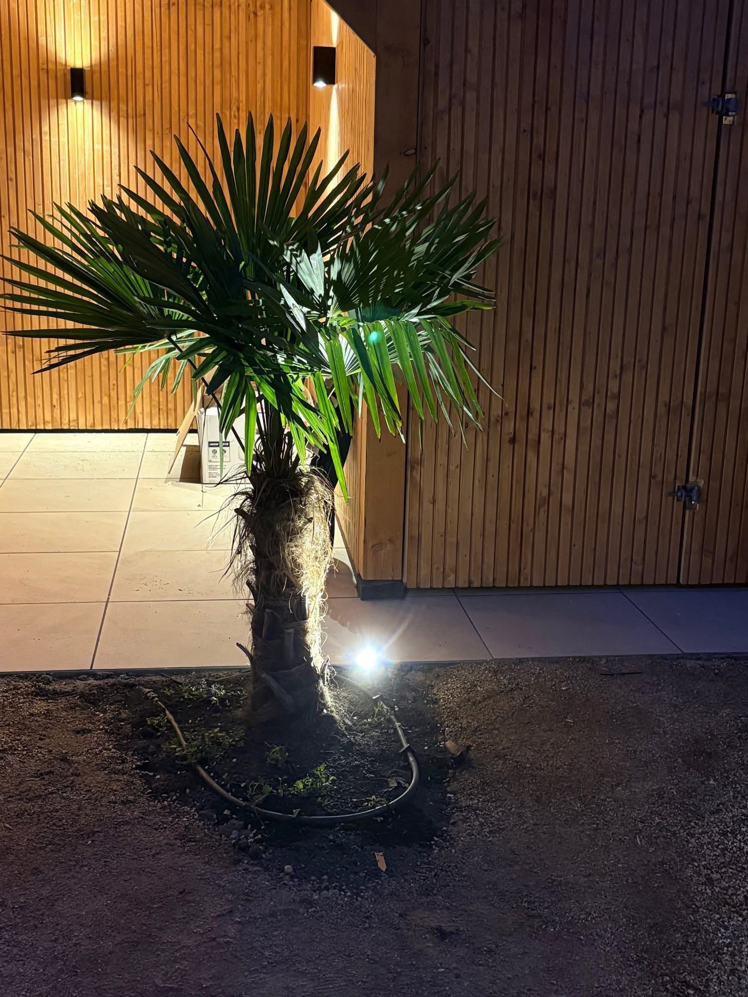 Balinese tuin - Arnhem