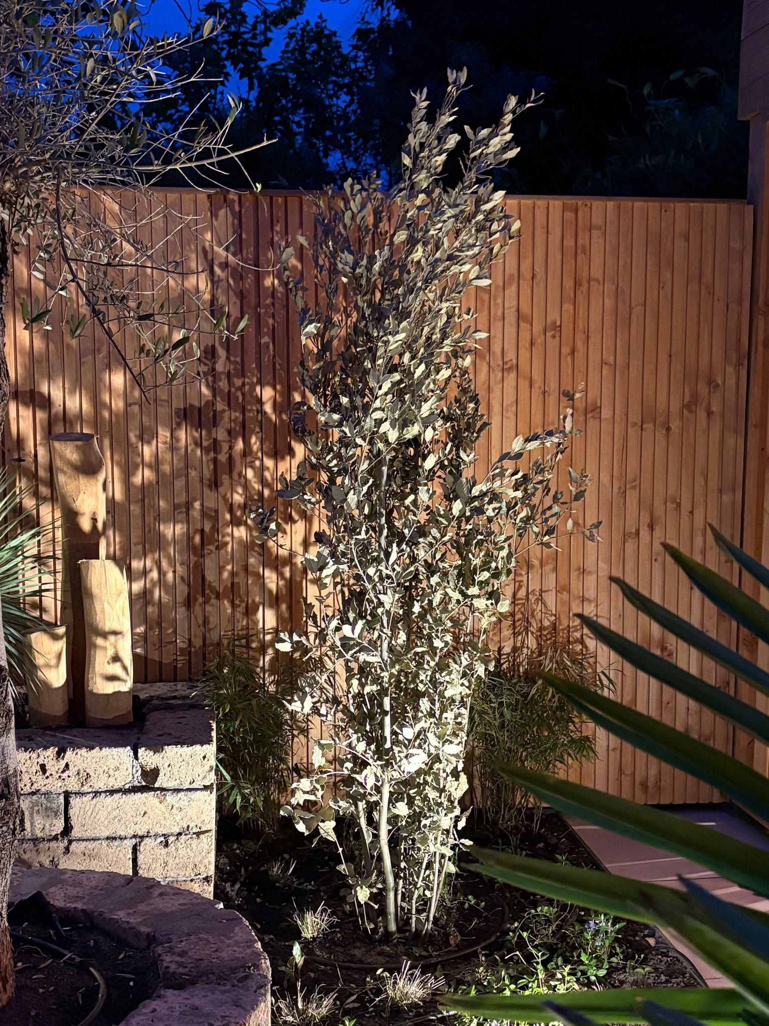 Balinese tuin - Arnhem
